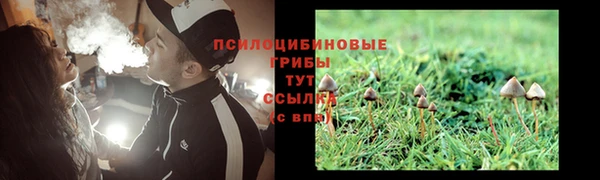 прущая мука Кукмор